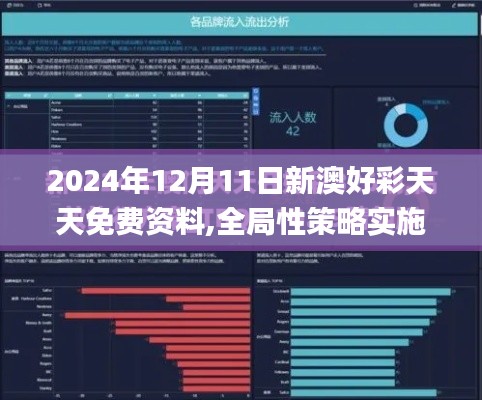 2024年12月11日新澳好彩天天免费资料,全局性策略实施协调_冒险款6.591