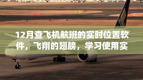 十二月航空之旅，掌握实时飞机定位软件，开启自信与成就感的飞翔之旅