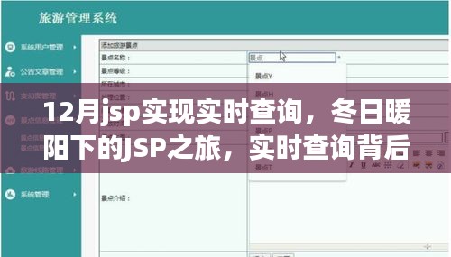 冬日暖阳下的JSP实时查询之旅，探索实时查询背后的故事