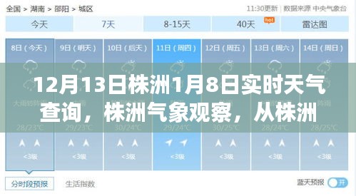 株洲天气变迁洞察，从十二月十三日至一月八日的实时气象观察与影响分析