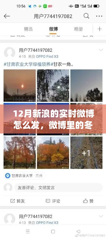 微博冬日暖阳，我与新浪十二月实时互动攻略