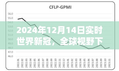 全球视野下的新冠疫情实时观察，以2024年的视角看待疫情发展