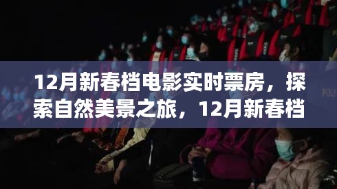 揭秘12月新春档电影实时票房背后的故事，自然美景之旅，探寻内心的宁静与欢笑时刻