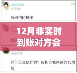 揭秘非实时到账背后，12月等待中的知情与未知之谜