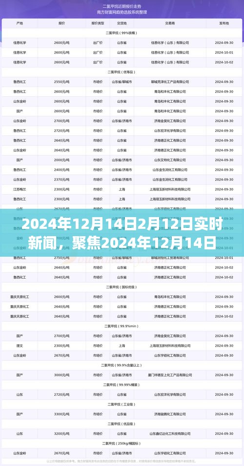 2024年12月14日与2月12日新闻聚焦，多维度观点碰撞与个人立场实时报道