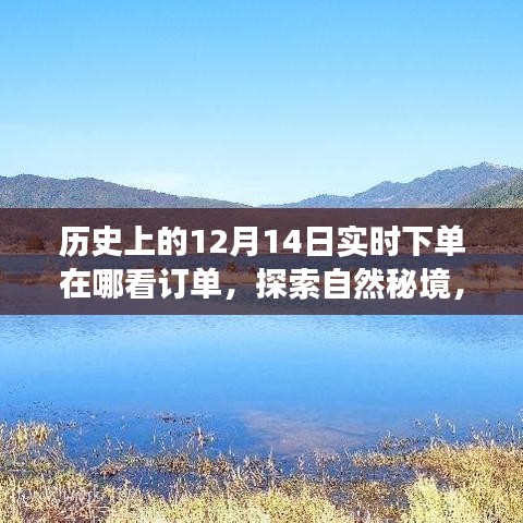 历史上的12月14日订单揭秘，探索自然秘境，旅行记忆中的订单追踪与绽放时刻