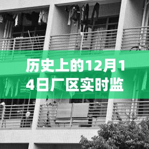 老厂区秘密揭晓，12月14日实时监控解读与温馨故事回顾