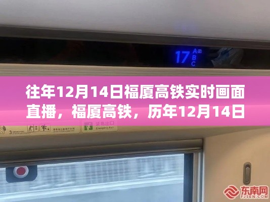 福厦高铁历年12月14日实时直播，智能出行新纪元的科技魔法展示