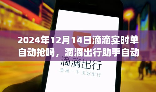 滴滴出行助手自动抢单攻略，2024年12月14日实时单自动抢单步骤详解