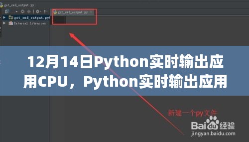 Python实时输出应用CPU使用率指南，从入门到进阶的详细步骤（12月更新）