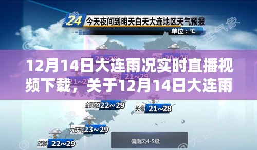 2024年12月15日 第10页