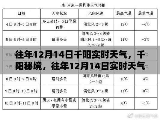 往年12月14日千阳实时天气，秘境中的温暖记录