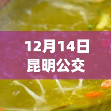 昆明公交深度探索，探秘小巷特色小店与实时路线查询