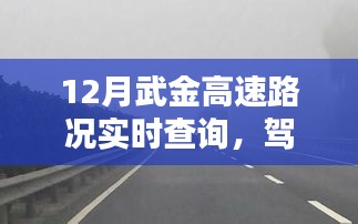 武金高速实时路况智能导航，驾驭未来出行新篇章