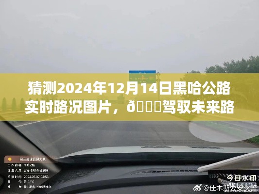 智能黑哈公路实时路况预测系统发布，驾驭未来路况，预测黑哈公路实时路况图片重磅上线（2024年12月14日）