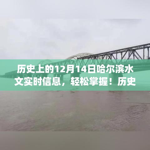 哈尔滨历史水文实时信息全攻略，轻松掌握初学者与进阶用户查询指南