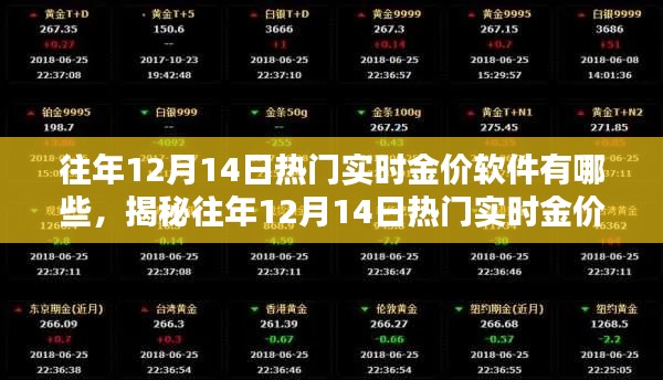 2024年12月15日 第7页