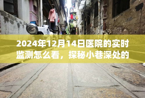 探秘医疗秘境，揭秘医院实时监测之旅，2024年12月14日深度观察纪实。