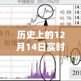 历史上的12月14日实时股票数据获取方式，深度探究与观点阐述