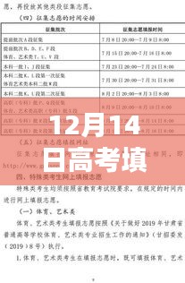 揭秘真相，关于高考填志愿实时排名解析，重点关注12月14日填报指南