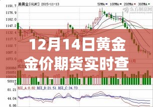 黄金金价期货实时查询，跃动金海，掌握变化中的自信与成就感