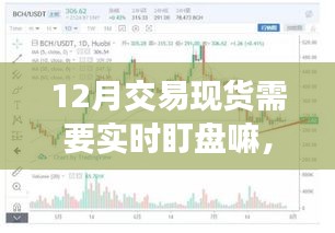 12月交易现货实时盯盘的重要性，深度分析与个人立场