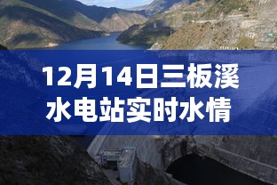 揭秘，三板溪水电站实时水情深度解析与案例分析报告（12月14日）