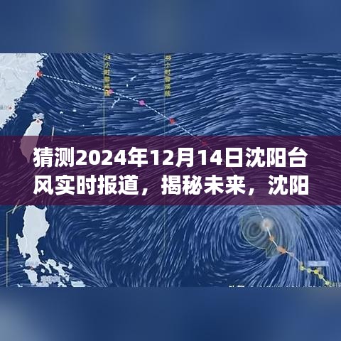 揭秘未来沈阳台风动态，深度解读与实时报道（预测至2024年12月）