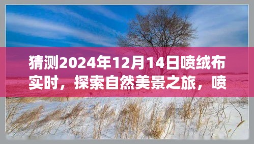 2024年12月15日 第2页