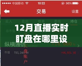 探索自然秘境，如何在直播实时盯盘中寻找心灵的宁静之旅？——12月直播实时盯盘设置指南