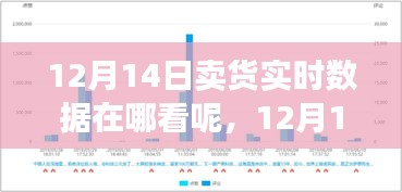 12月14日卖货实时数据查看全攻略，轻松掌握每一步