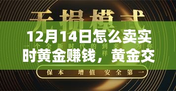 揭秘黄金交易新纪元，如何在特殊时刻的12月14日利用黄金投资获利之道