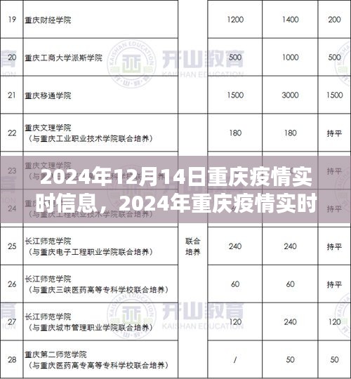 2024年重庆疫情实时信息查询指南，掌握最新动态