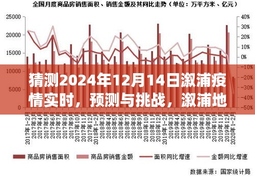 溆浦地区疫情发展预测与展望，2024年溆浦疫情实时动态及挑战