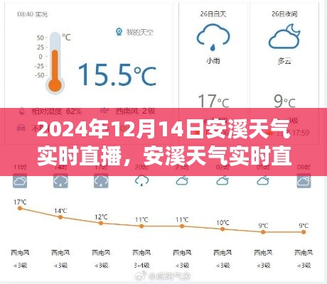 2024年12月16日 第10页