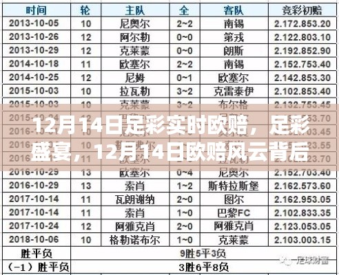 2024年12月16日 第9页