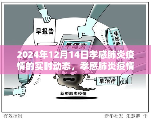 孝感肺炎疫情实时动态分析报告（2024年12月14日），深度测评与目标用户群体分析