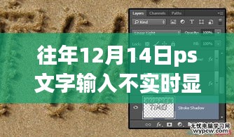 往年12月14日PS文字输入不实时显示问题深度解析与产品评测