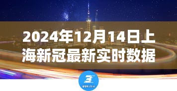 上海新冠实时数据下的独特风味探秘与惊喜小店体验