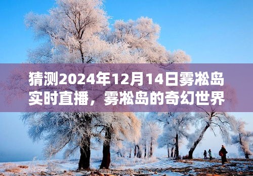 雾凇岛的奇幻世界，参与实时直播，探索雾凇岛的神秘面纱——2024年12月14日直播预告与指南