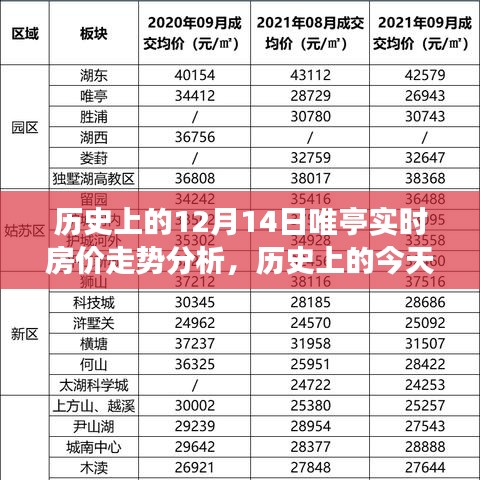 历史上的今天，深度解析唯亭实时房价走势的12月14日回顾与分析