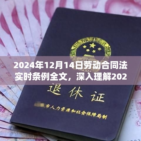 深入理解与探讨，2024年劳动合同法实时条例解读与要点解读