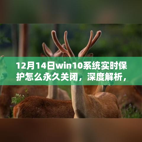 深度解析，永久关闭Win10系统实时保护的方法与步骤（适用于12月14日）