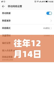 往年12月14日实时付款通知模板下载及其产品全面评测介绍