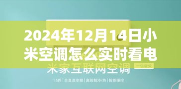 2024年12月17日 第8页