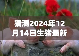 揭秘小巷深处的特色小店与预测最新生猪实时价格行情，2024年12月14日展望