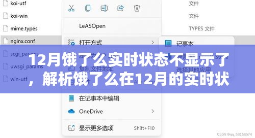 饿了么12月实时状态显示故障解析，原因、影响及应对策略