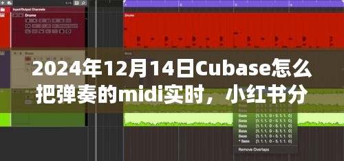 Cubase实时处理MIDI弹奏技巧分享，小红书教程，2024年最新更新