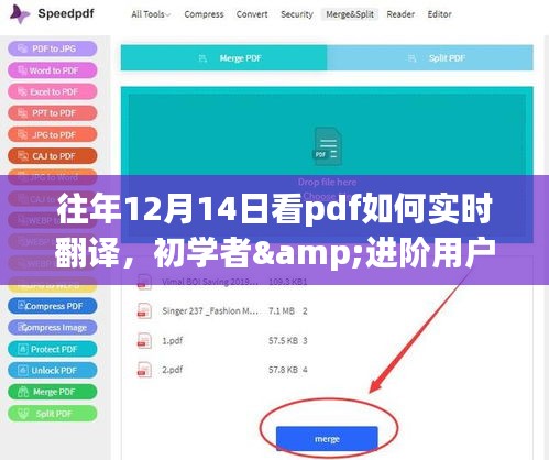 PDF实时翻译全攻略，从初学者到进阶用户的学习指南（往年12月14日版）