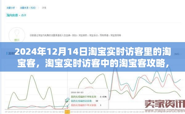 淘宝实时访客攻略，淘宝客实操指南（初学者进阶版）